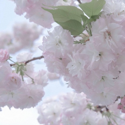 兽设节日场景设计兽圈社群